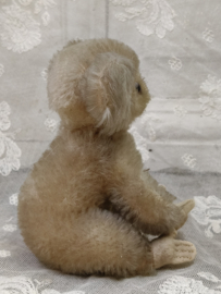 Oude koala, Steiff