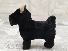 Oud mini hondje VERKOCHT