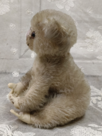Oude koala, Steiff