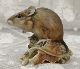 Oud muisje VERKOCHT