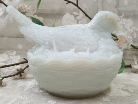 Oude opaline duif op mandje