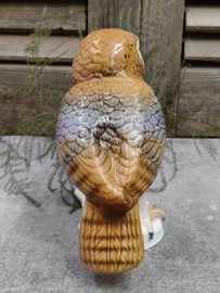 Oude uil