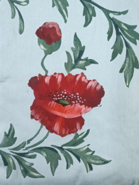 Oude lingeriehoes klaproos