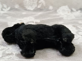Oud mini hondje VERKOCHT