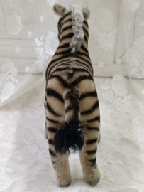Oude zebra