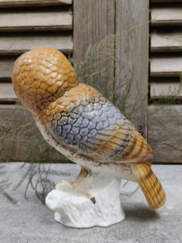 Oude uil