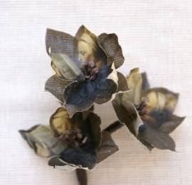 Small flowers made of fabric printed with a Rijksmuseum painting