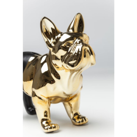 Spaarpot Bulldog Goud-Zwart