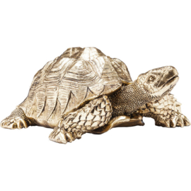 Deco Beeldje Schildpad Goud Klein