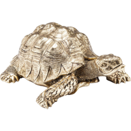 Deco Beeldje Schildpad Goud Klein