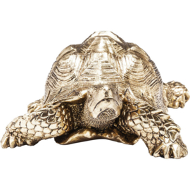 Deco Beeldje Schildpad Goud Klein