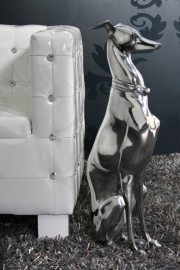 Beeld Model: Greyhound - 8891