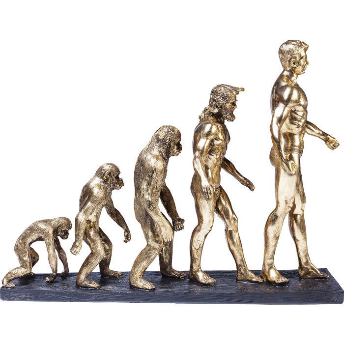 Deco beeld figuratie Evolutie | / Beelden | GOEDKOOPMEUBELEN.NL