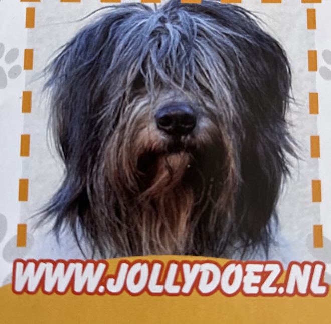 (c) Jollydoez.nl