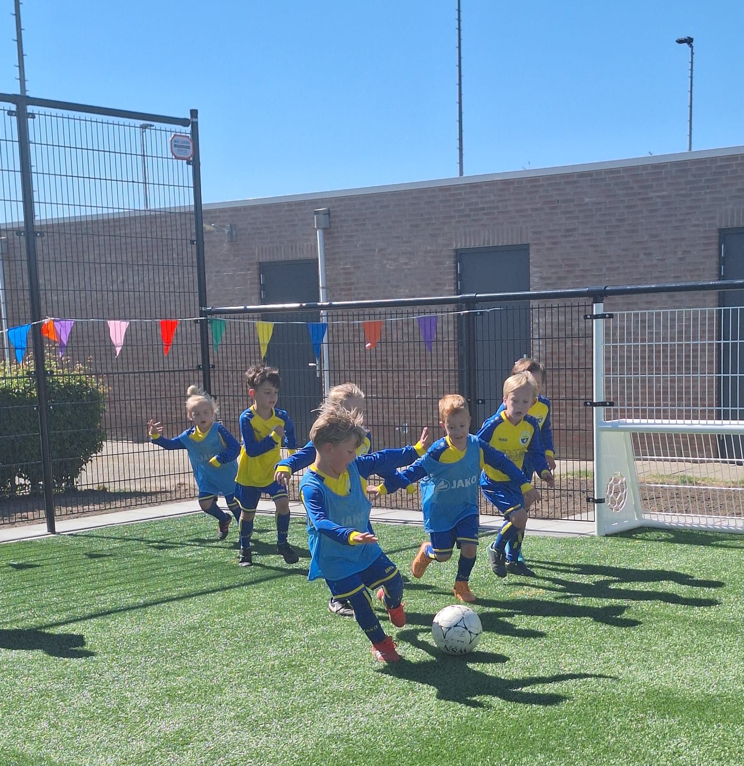 Pannakooi Voetbalvereniging VDS