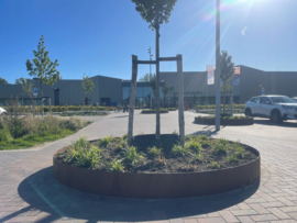 Boomringen van cortenstaal - De Gelenberg Druten