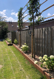 Cortenstalen plantenbak op maat
