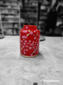 Japonica