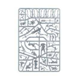 Cities Of Sigmar: Freeguild Fusiliers