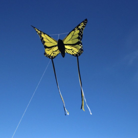 Bella Butterfly