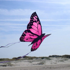 Bella Butterfly