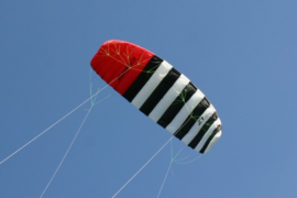 Zabra Z1 6.5 Classic Kite only