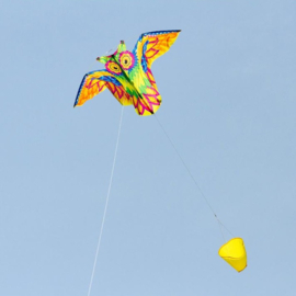 Flashy Owl Kite