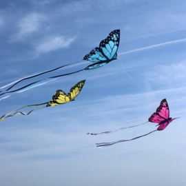 Bella Butterfly