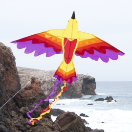 Bird Fire Rainbow