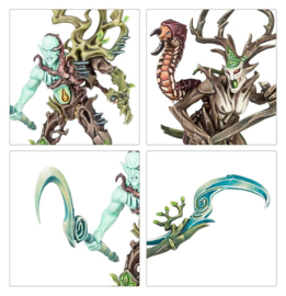 Sylvaneth: Regiment of Renown: The Twisted Branch