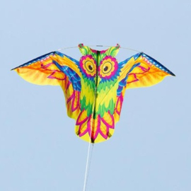 Flashy Owl Kite