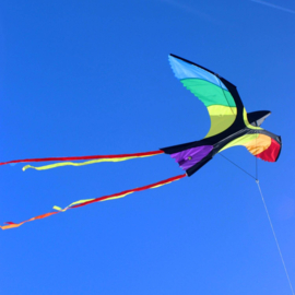 Bonny bird