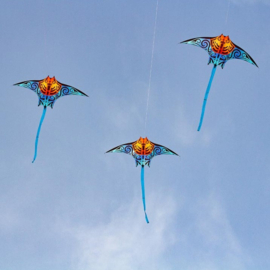 HQ Manta kite (Kite Only)
