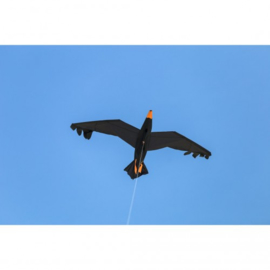 Raven 3D