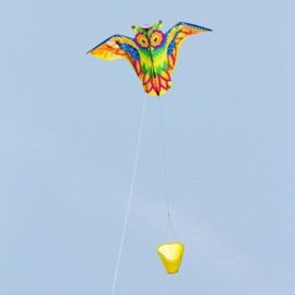 Flashy Owl Kite