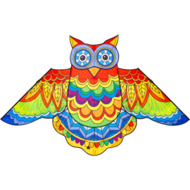 Jazzy Owl Kite