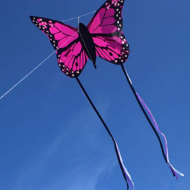 Bella Butterfly