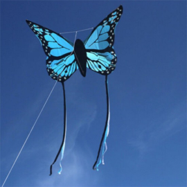 Bella Butterfly