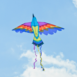 Bird Fire Rainbow