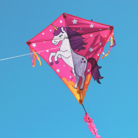 Lucky unicorn