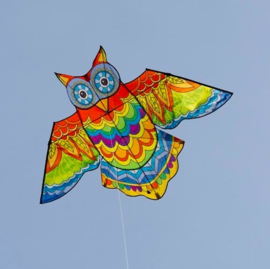 Jazzy Owl Kite