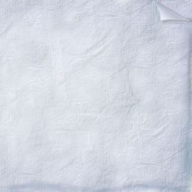 Tyvek wit