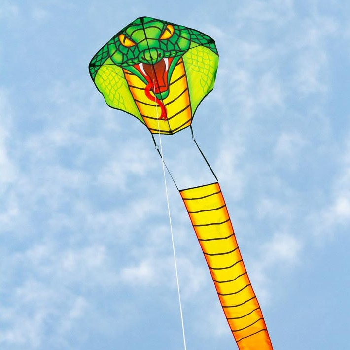 Cobra Kite