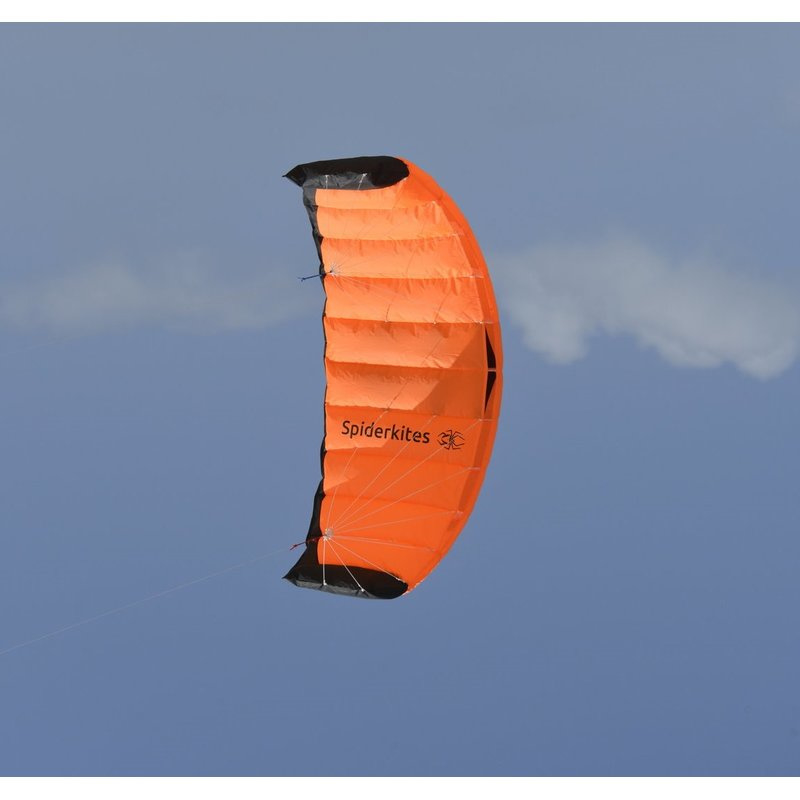 Basistheorie Intact hond Amigo 1.35 Neon Orange | Matras vliegers 2 lijns Kites | vliegerzone