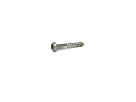 Playfield Screw (used) S005