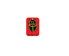 Target Decal Williams - Black Knight 2000 (nieuw)