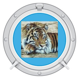 Borduurpakket Tiger - Thea Gouverneur