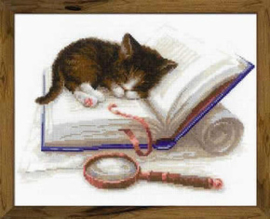 Borduurpakket kitten on the book - Riolis