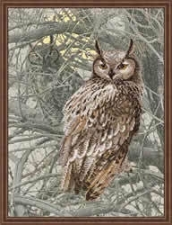 Borduurpakket eagle owl - Riolis