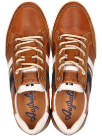 Australian Sneaker Nothingham Cognac 15.1568